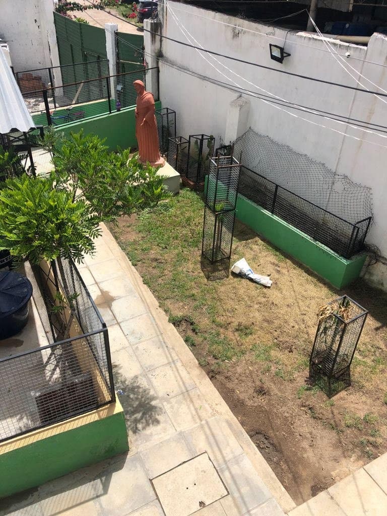 Área de Área de Higiene do Cantinho da Filó